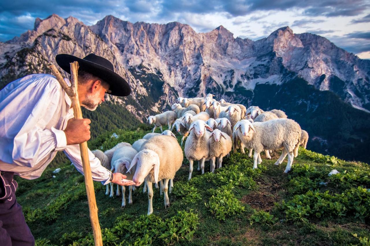 Tourist Farm Senkova Domacija Villa Zgornje Jezersko Kültér fotó