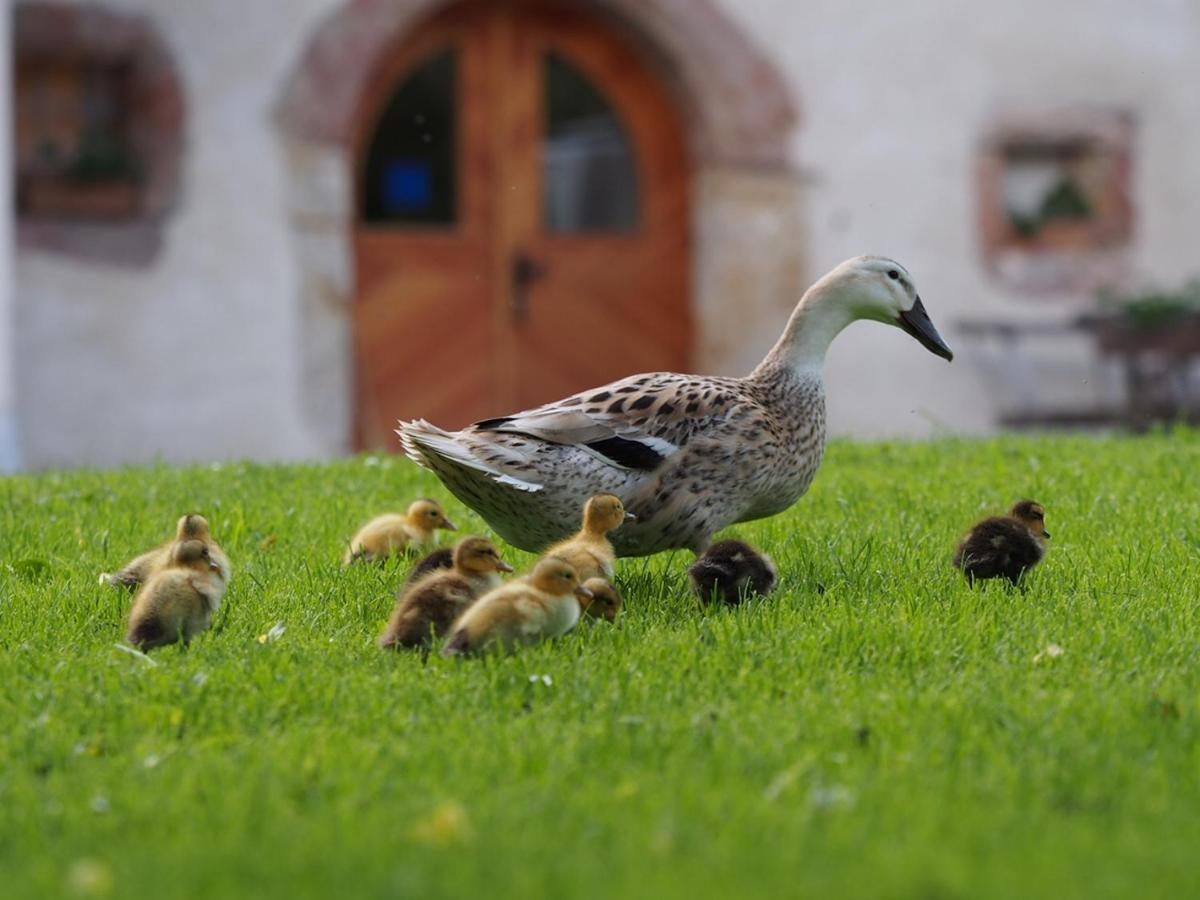 Tourist Farm Senkova Domacija Villa Zgornje Jezersko Kültér fotó